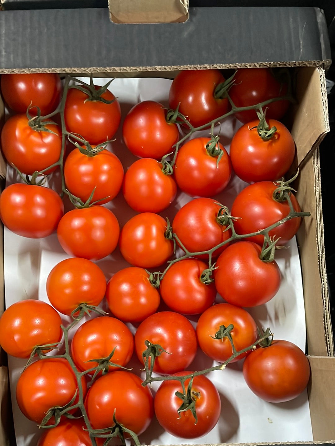 Tomaten, Tros, ca. 5kg per doos