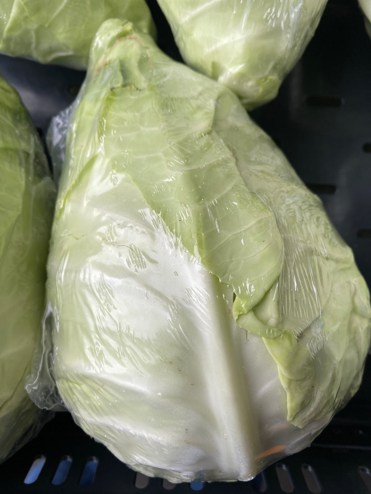 Spitskool, ca. 500g per stuk