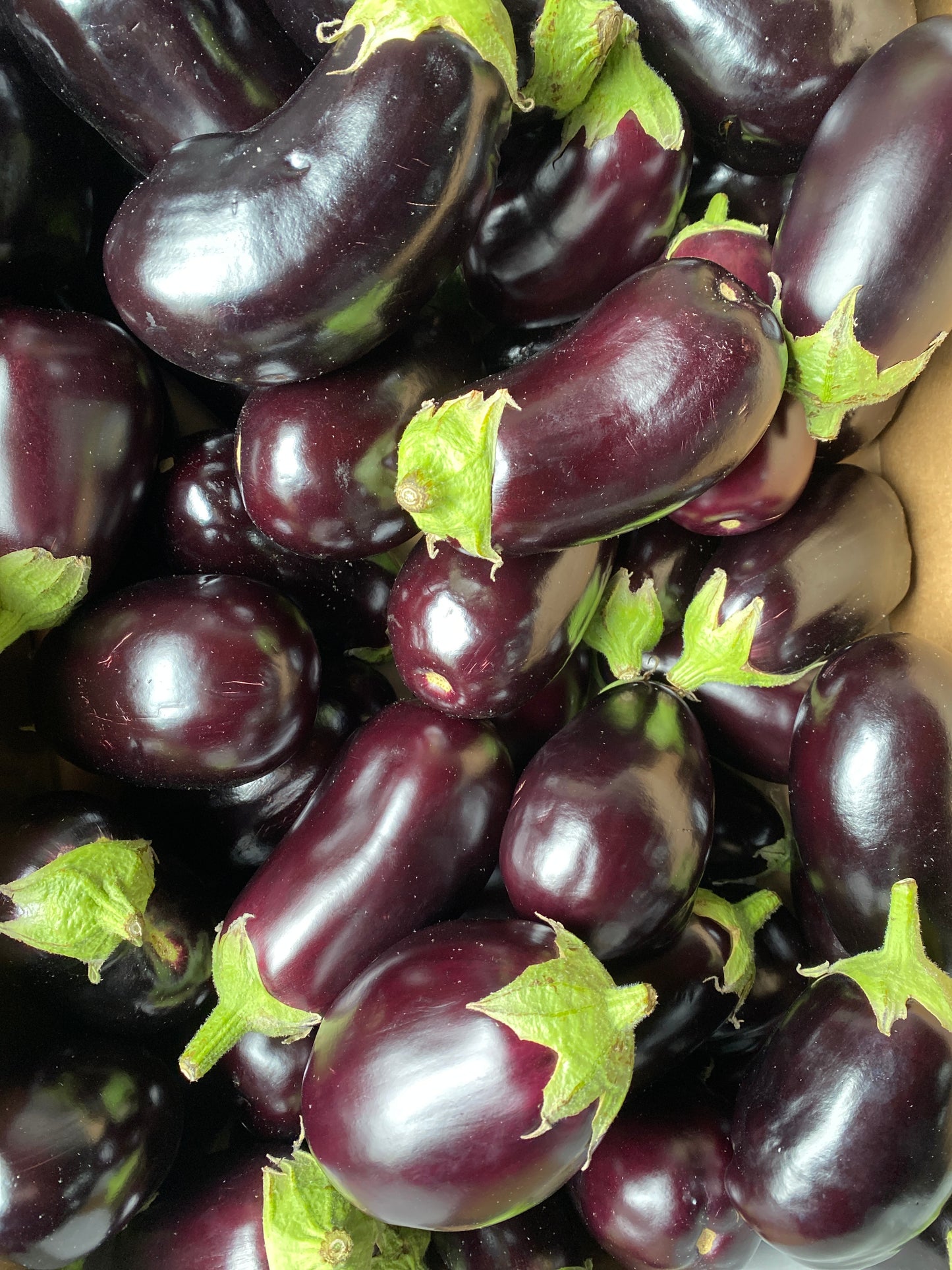 Aubergines, per 2st a ca. 275g (totaal ca. 550g)