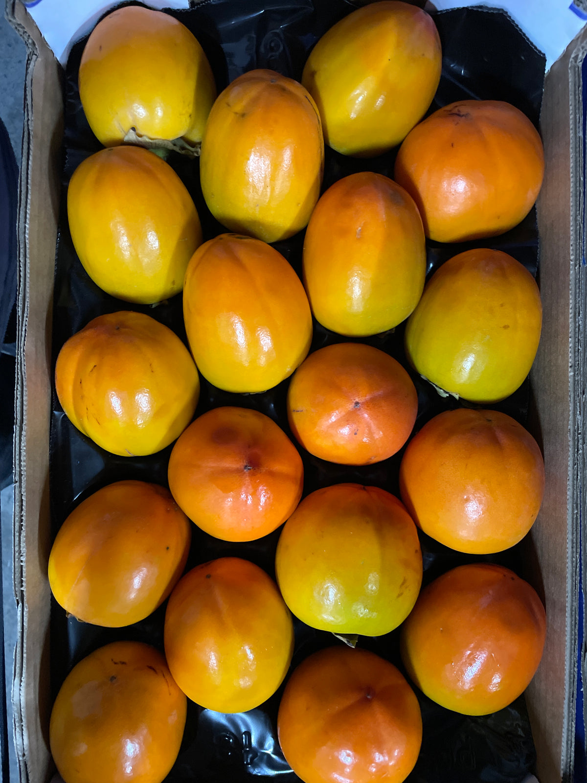 Kaki’s, 20st, ca. 4,5 kg per bak