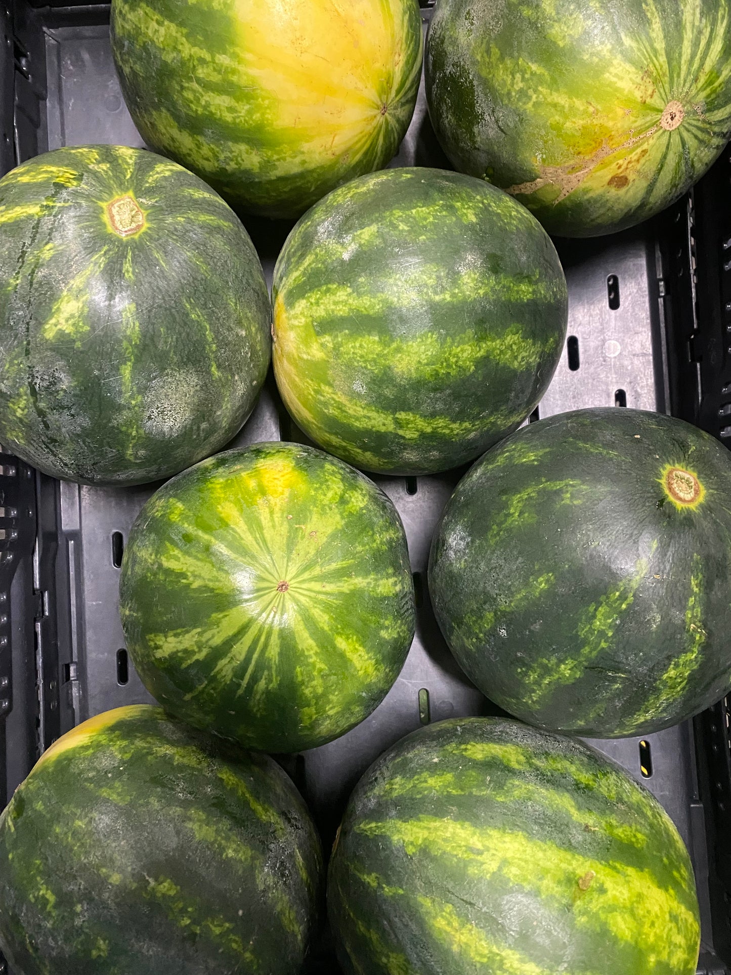 Watermeloenen, ca 1.800g per stuk