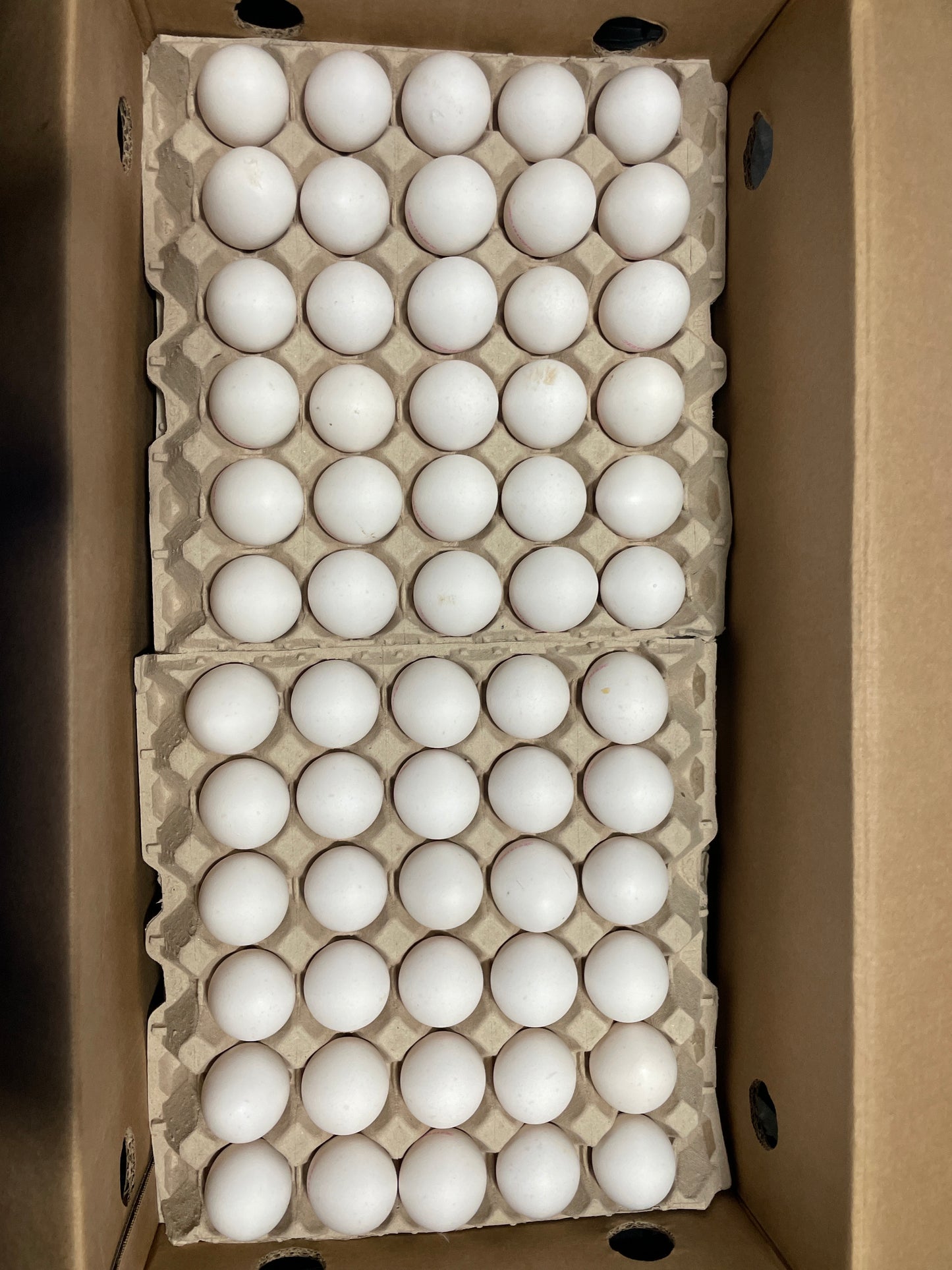 Eieren doos 12 x 30 =360 st
