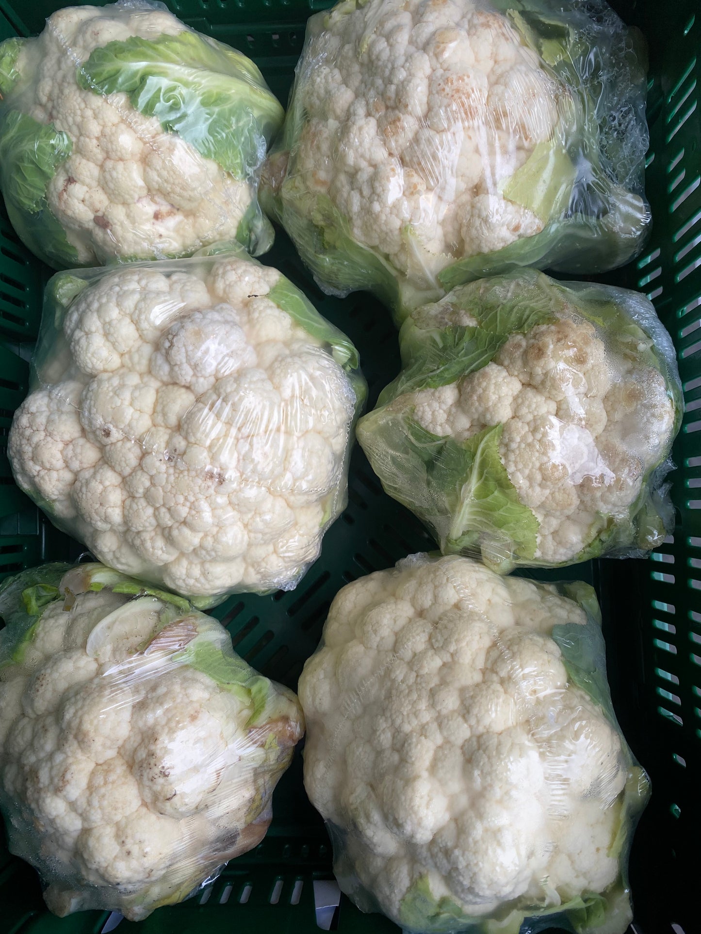 Bloemkool, ca. 500g per stuk