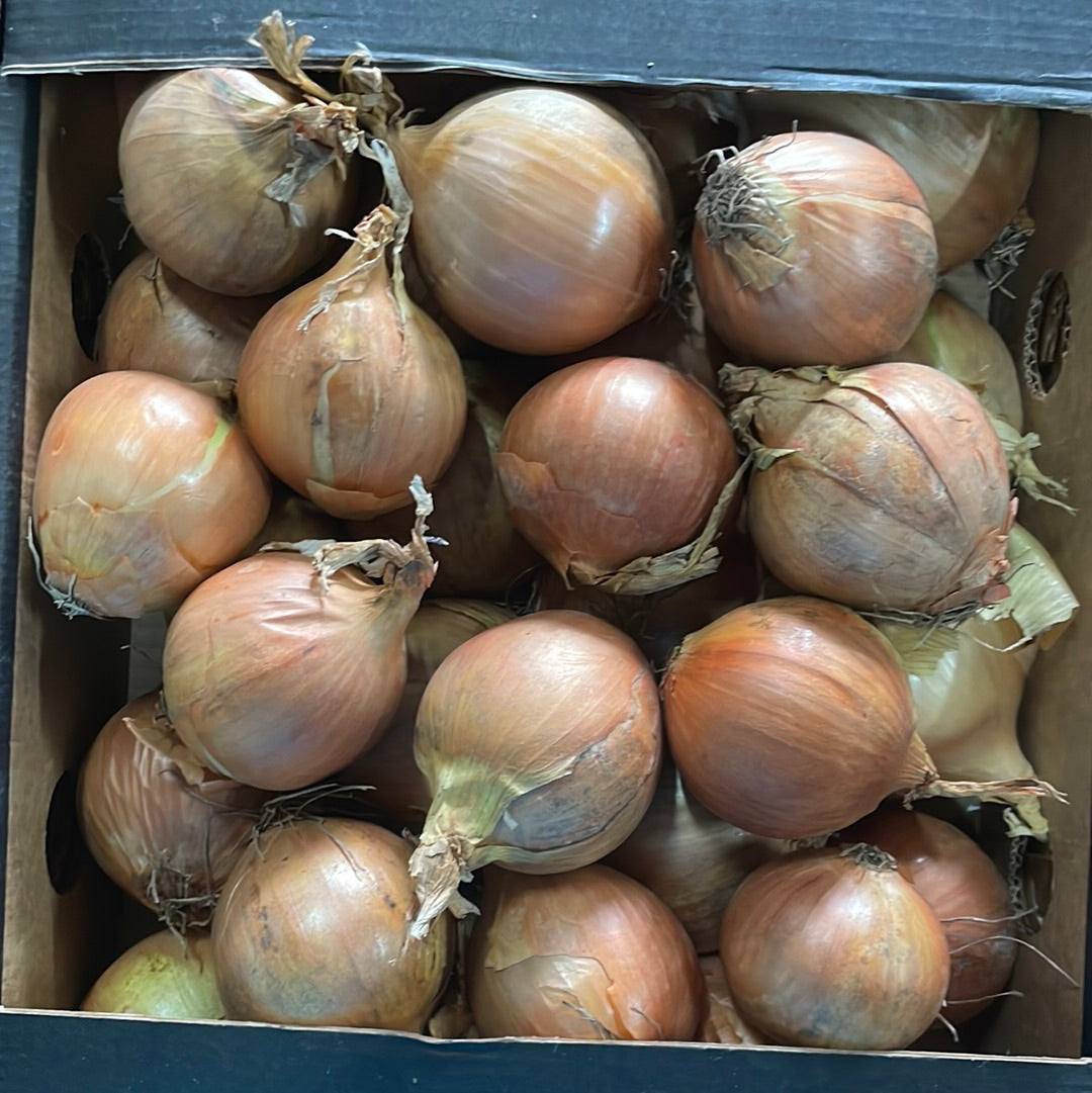 Uien, Geel, ca. 5 kg per doos