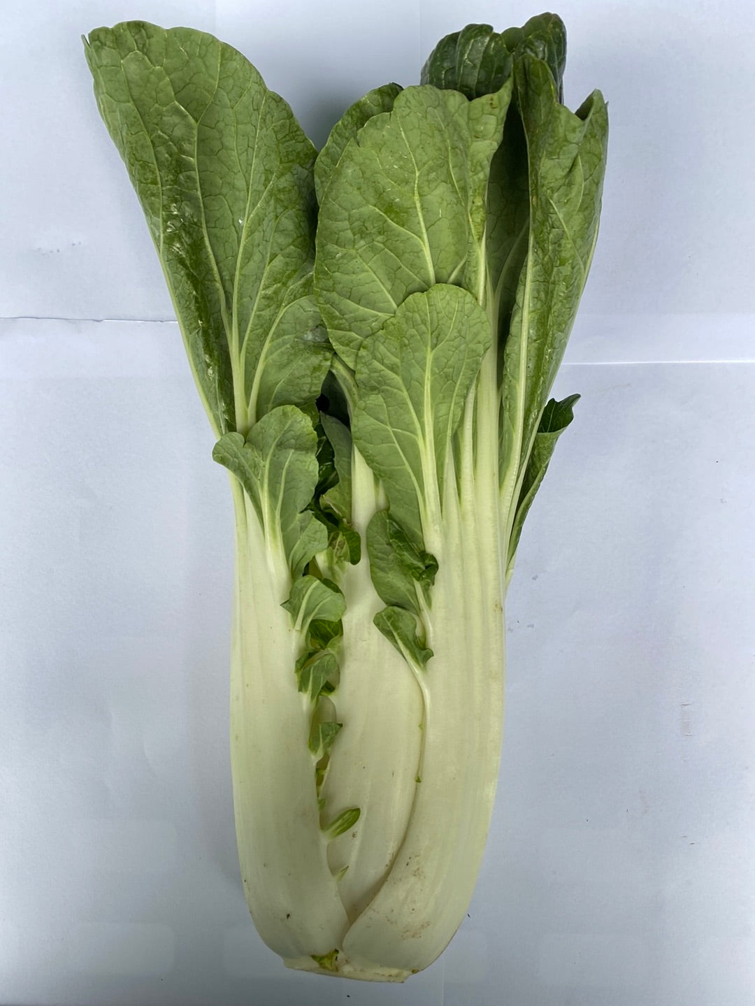 Paksoi, ca. 600g per stuk