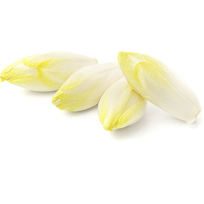 Witlof 4 stuks en ca. 500g per verpakking