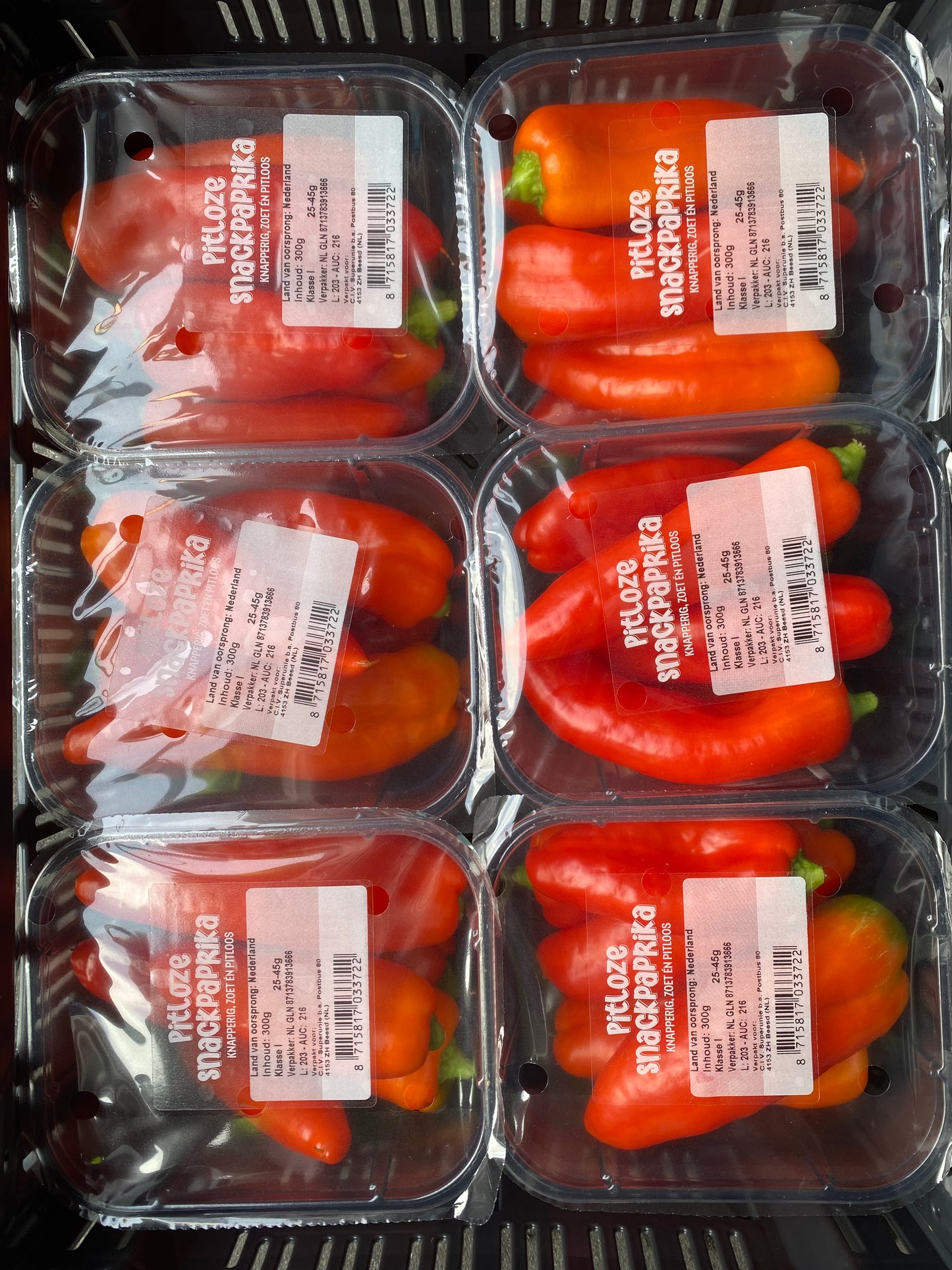 Paprika, Snack, Rood, Pitloos, per 2 bakjes a ca. 300g (totaal ca. 600g)