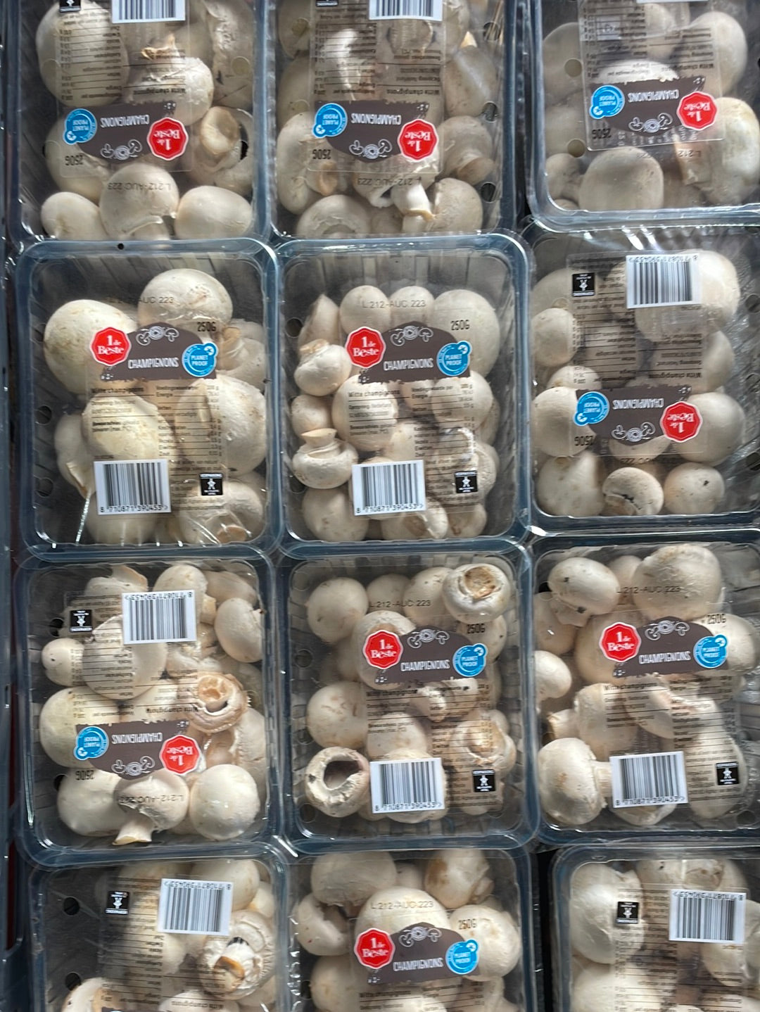 Champignons, per 2 bakjes a ca. 250g (totaal ca. 500g)