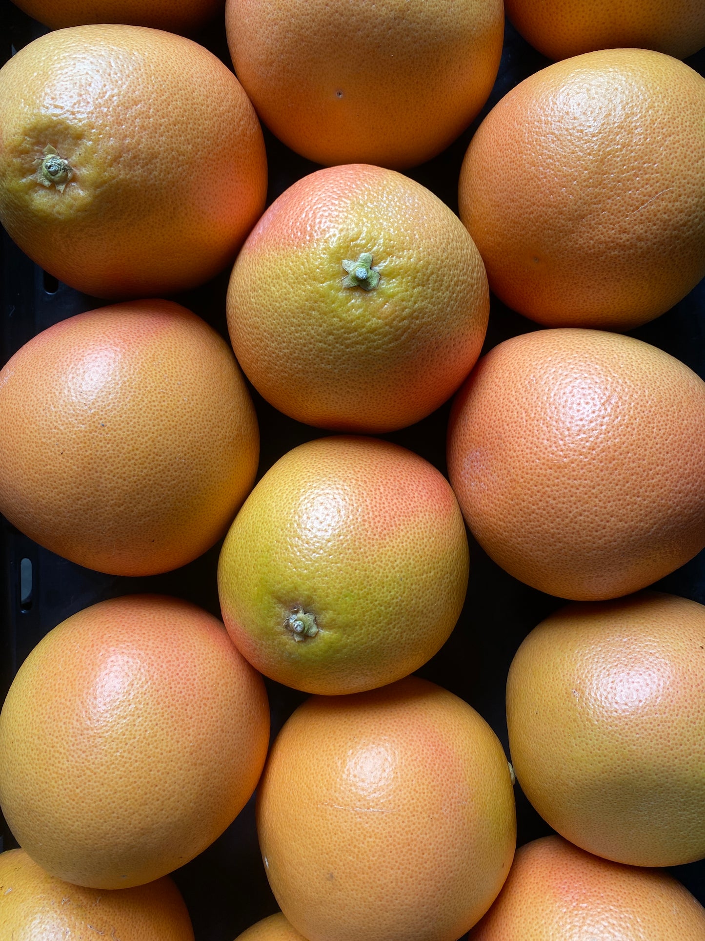 Grapefruit, Sunrise, roodvlezig, ca. 250g per stuk