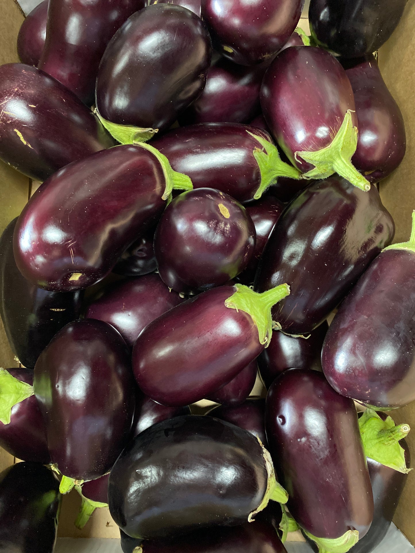 Aubergines, per kilo