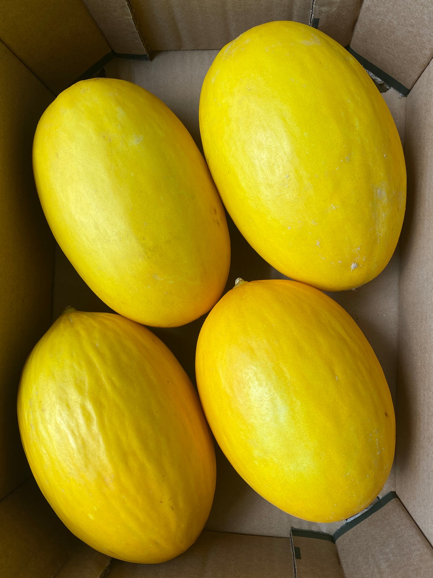 Meloenen, Geel, ca. 1kg per stuk
