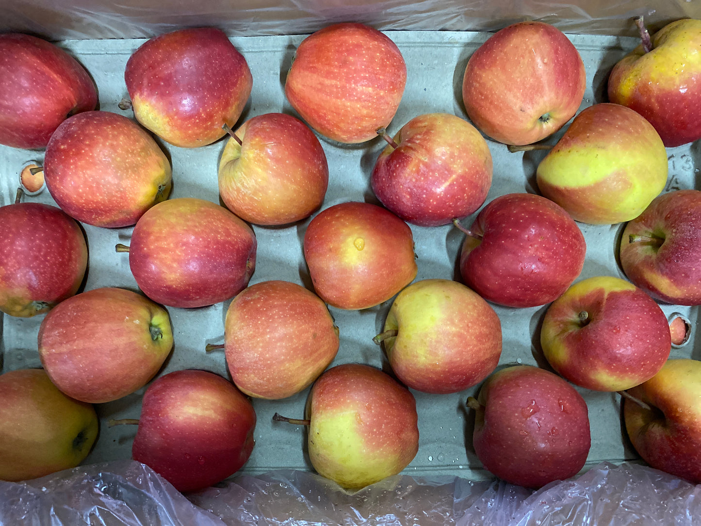 Appels, Royal Gala, per 4st a ca. 150g (totaal ca. 600g)