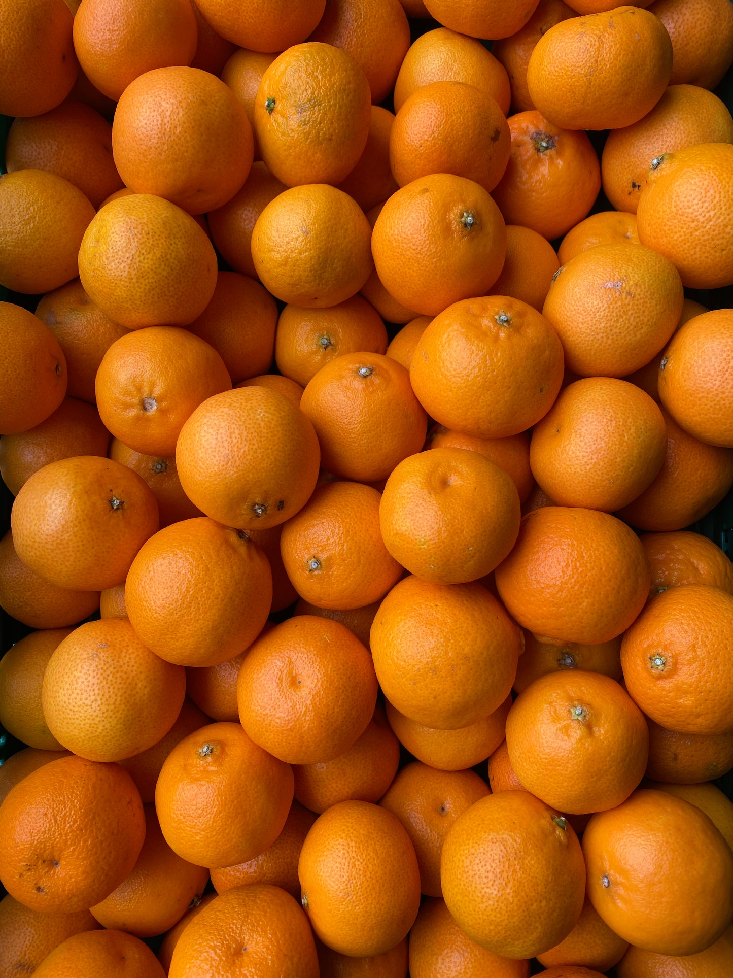 Mandarijnen, ca. 100g per stuk