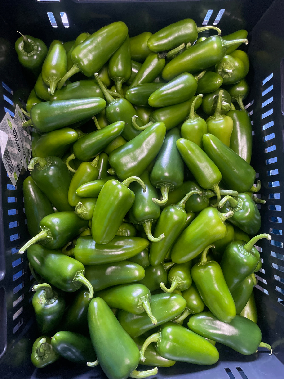 Pepers, Groen, Jalapeno, 1kg.