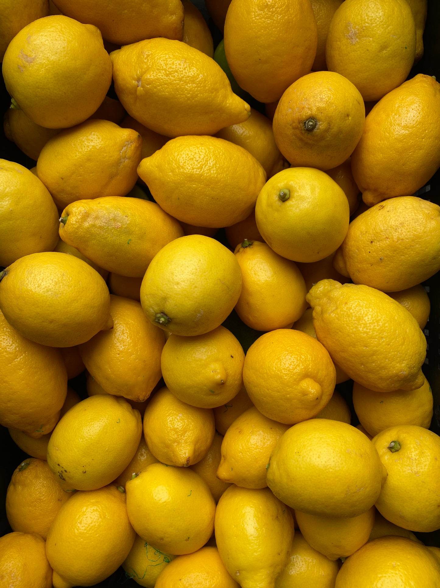 Citroenen, per 1kg)