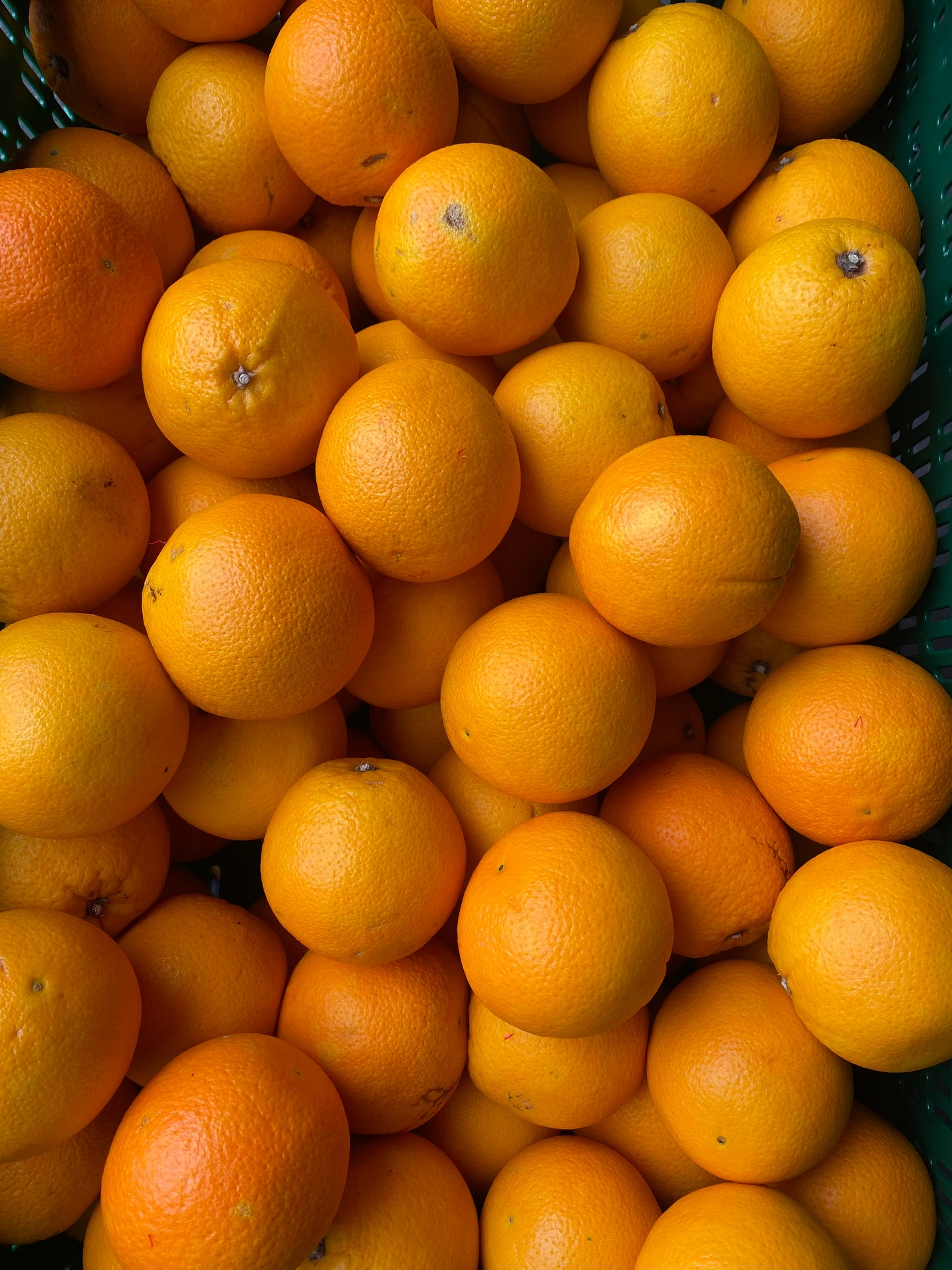 Sinaasappels, Pers, ca. 200g per stuk