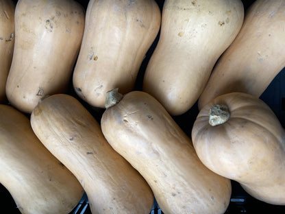 Pompoenen, 2x ca. 1,2kg ( 2,4kg )