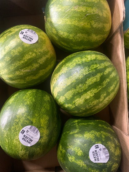 Meloenen, Watermeloenen , Pitloos, ca. 4,5 kg per stuk