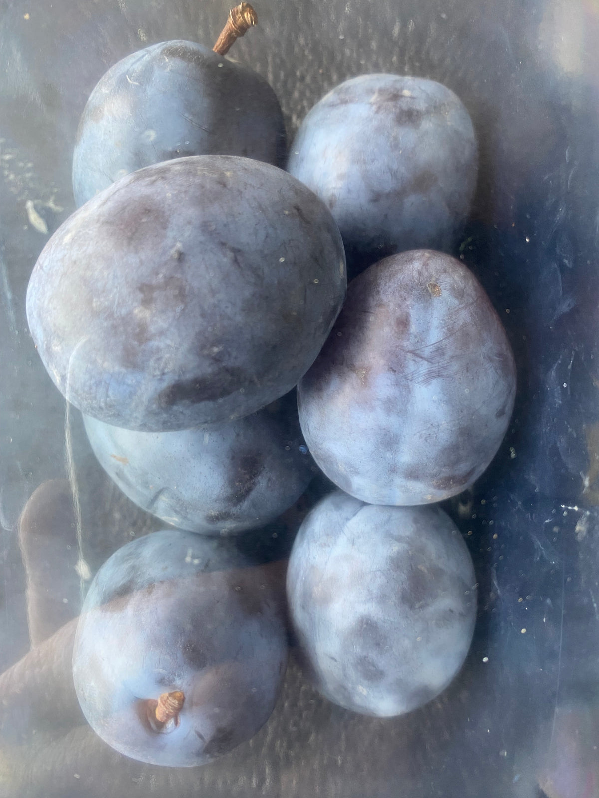 Pruimen, Zwets, Bakpruimen, per 2x ca. 550g (totaal ca, 1.100g)