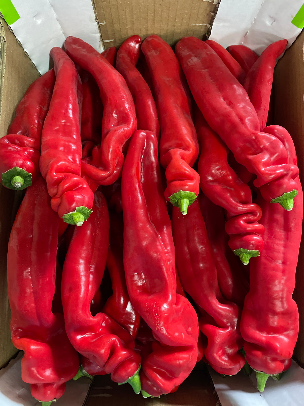 Paprika punt, ca. 3kg