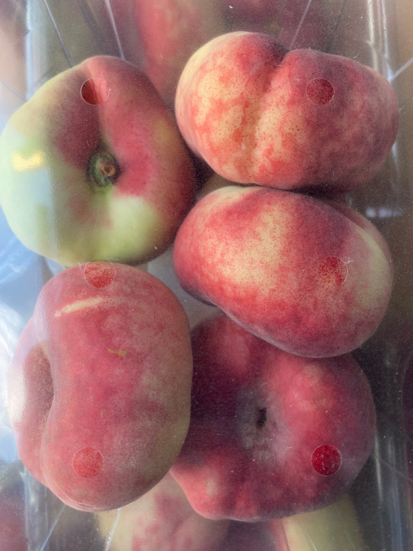 Perziken, Wilde, ca. 5/6st en ca. 500/600g per bakje