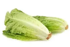 Baby romaine sla 2 stuks