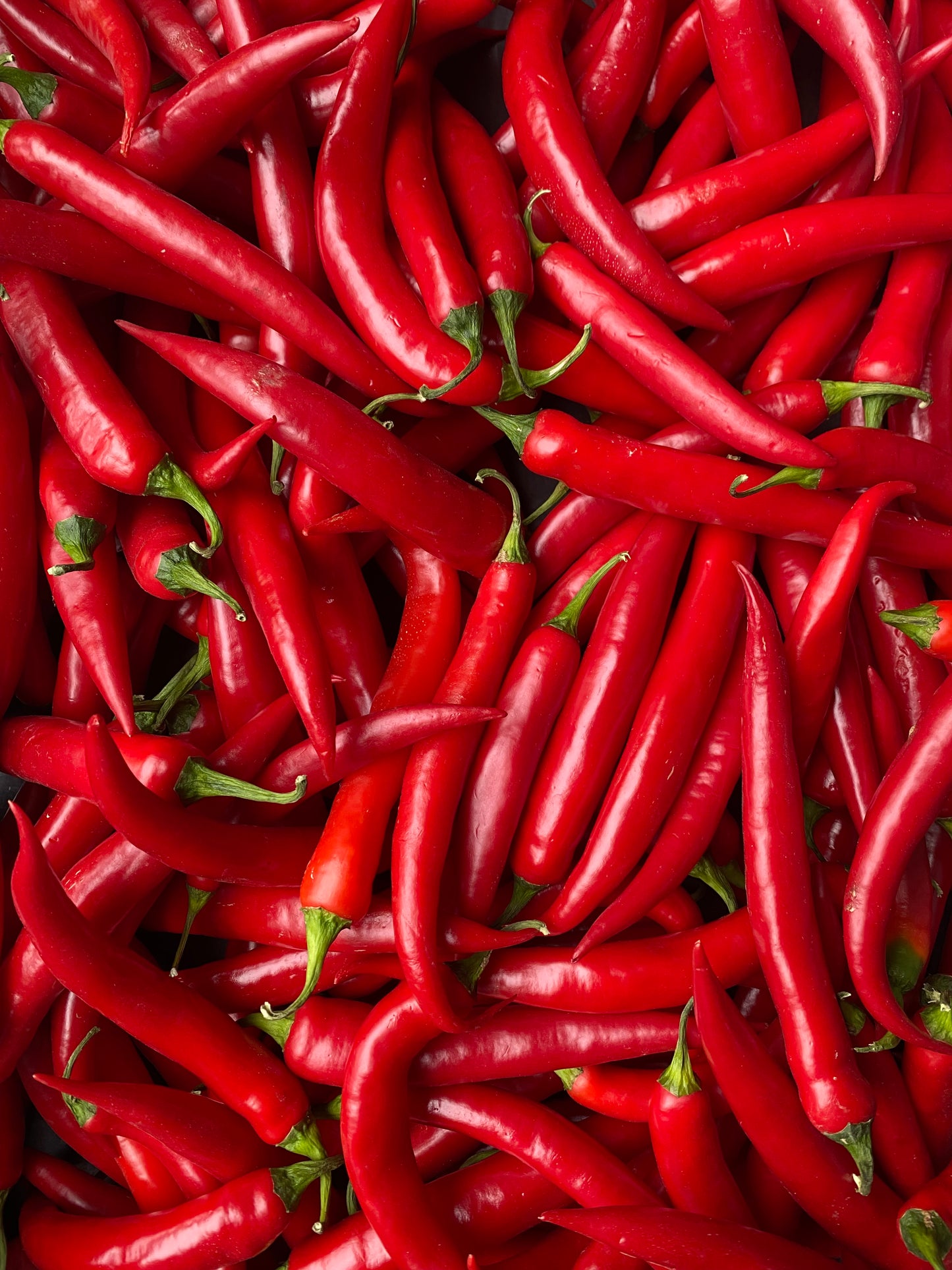 Pepers, Rood, ca. 20g per stuk
