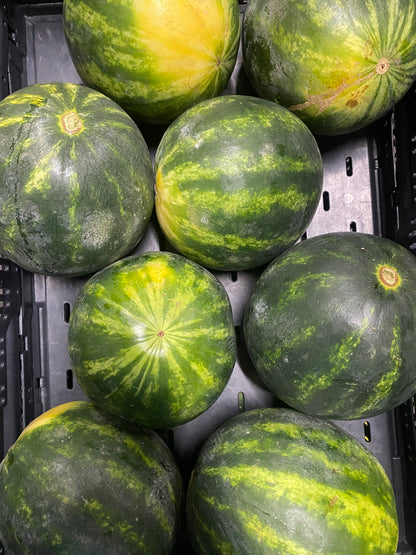 Watermeloenen, ca 1.800g per stuk