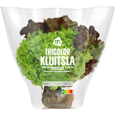 Sla, Tricolor met kluit / per stuk
