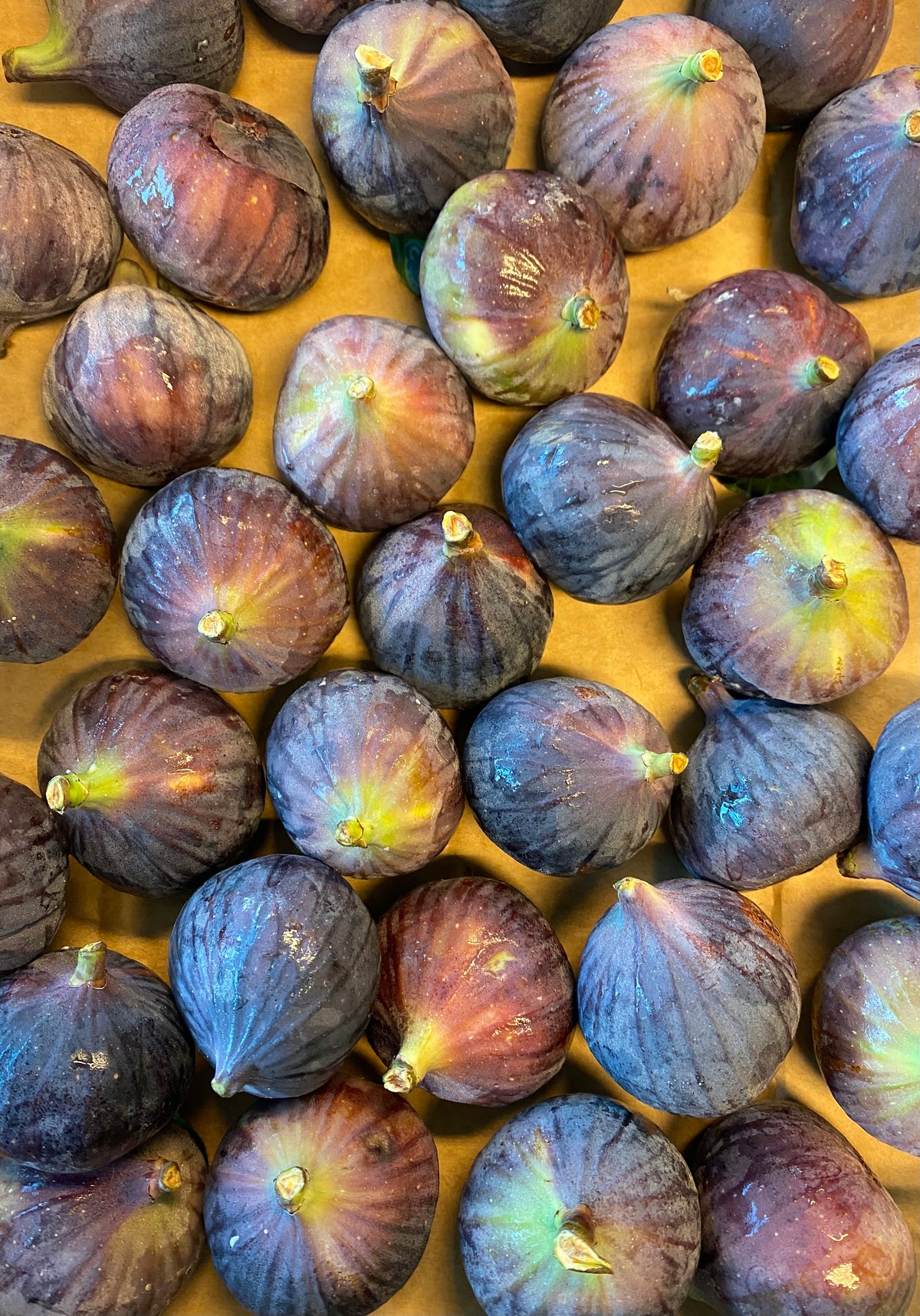 Vijgen, per kg