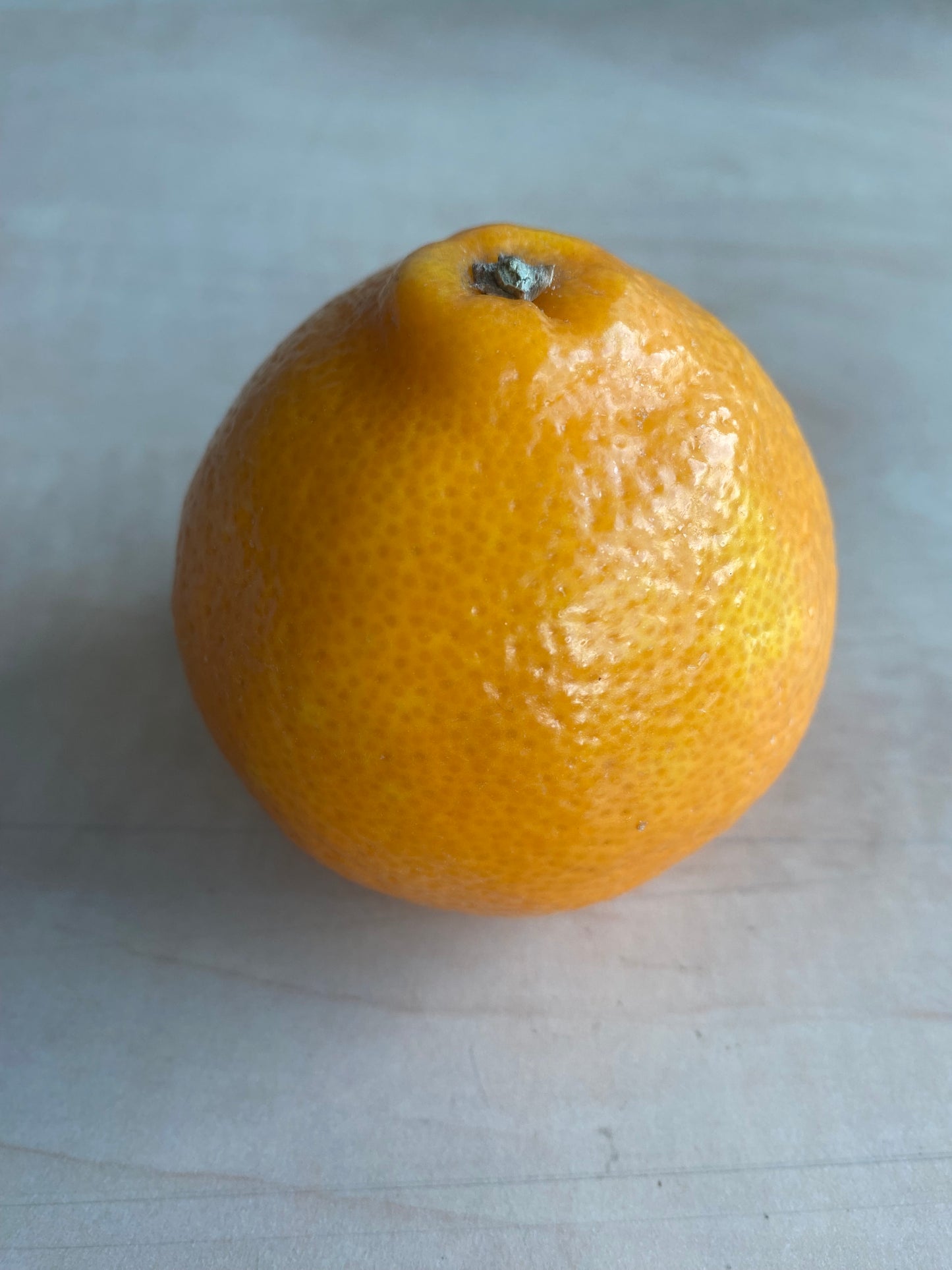 Minneolas, ca. 175g per stuk