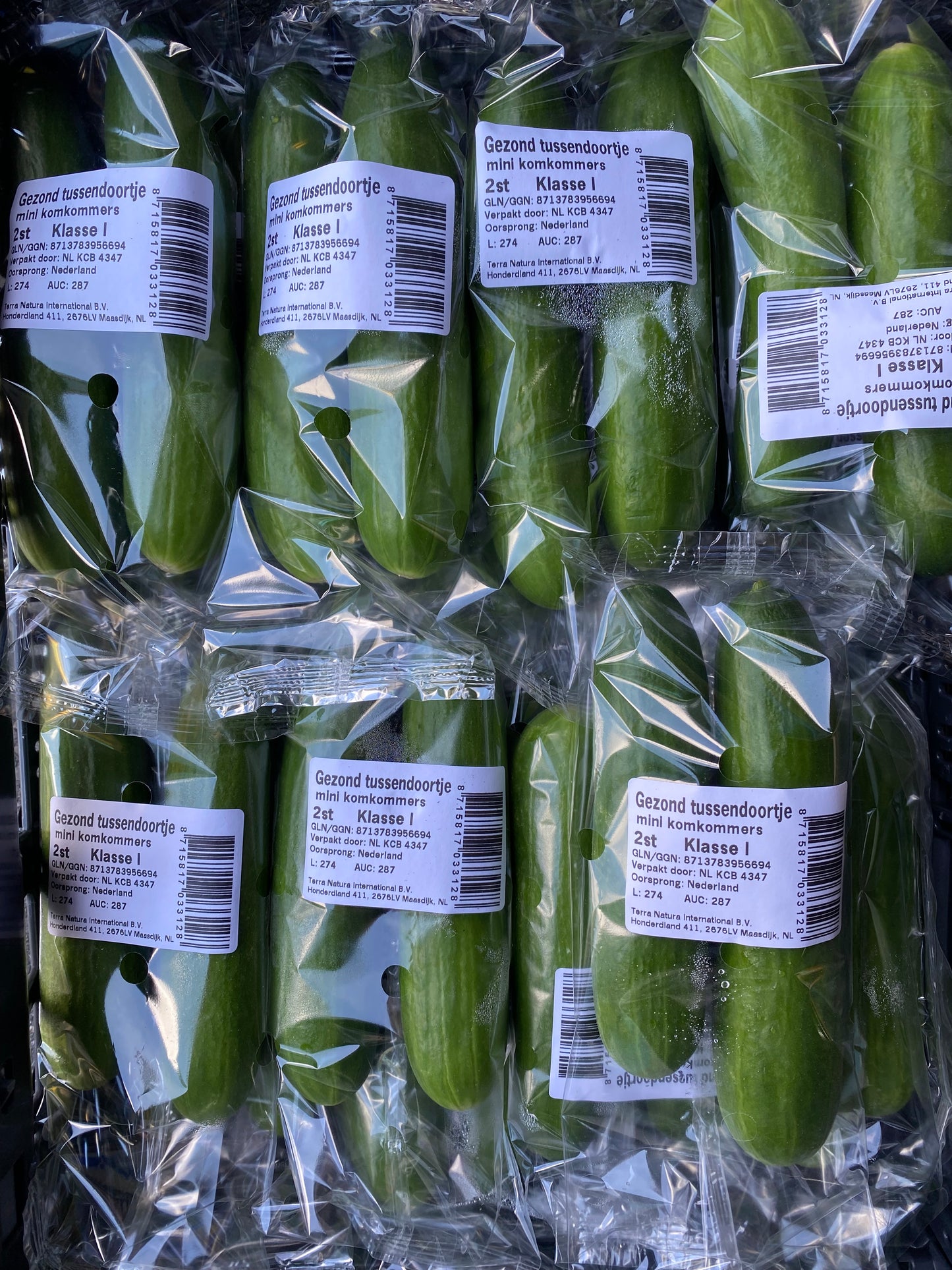 Komkommers, Mini, per 2 x 3st a ca. 300g (totaal 600g)