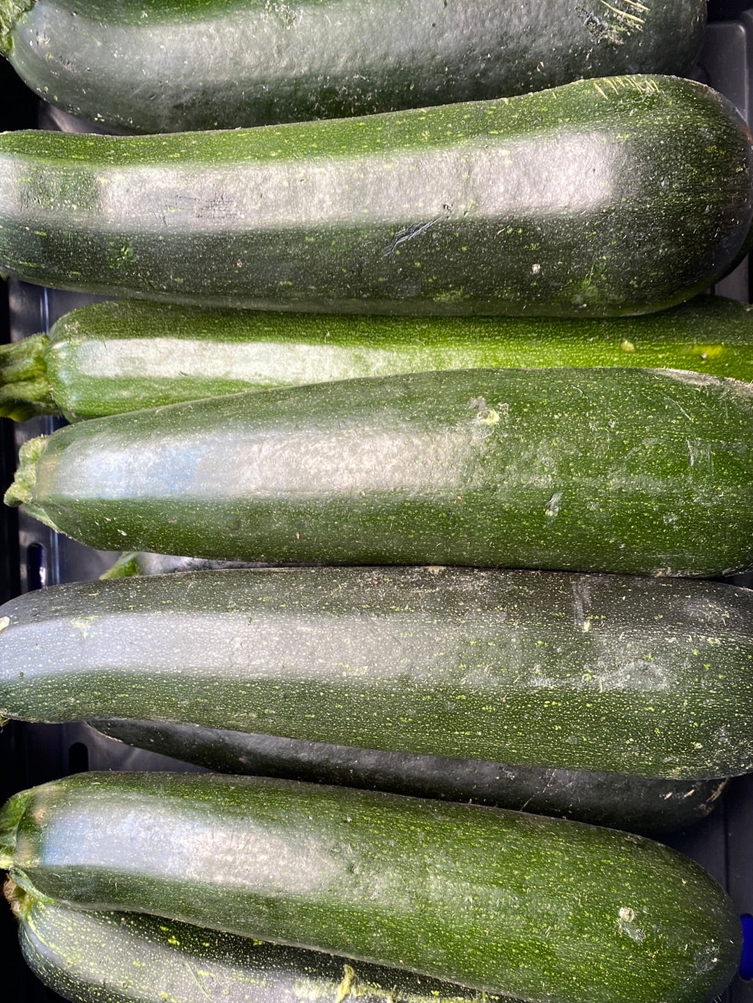 Courgetten, per 3st a ca. 350g (totaal ca. 1.050g)