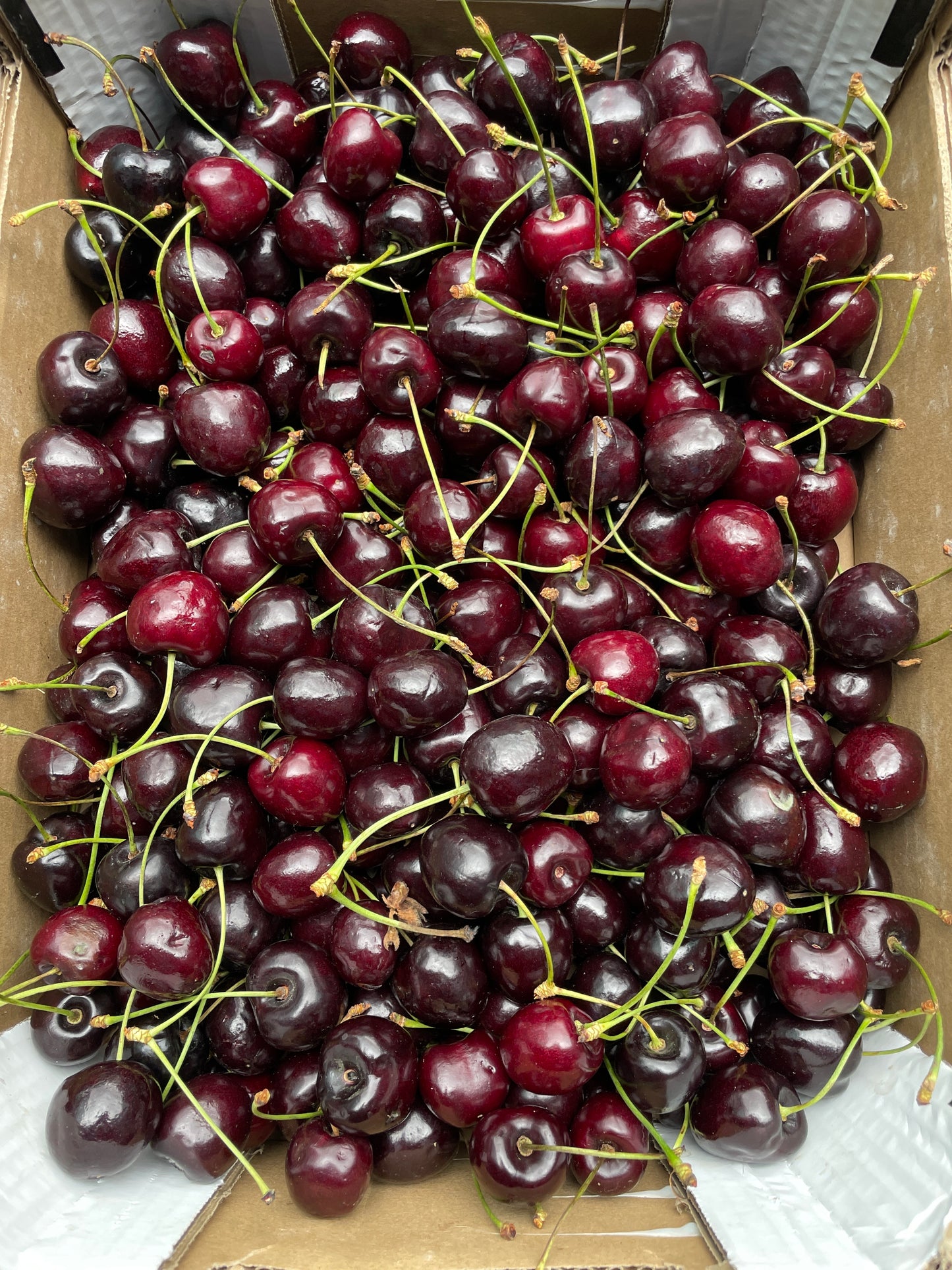 Kersen 4kg per doos