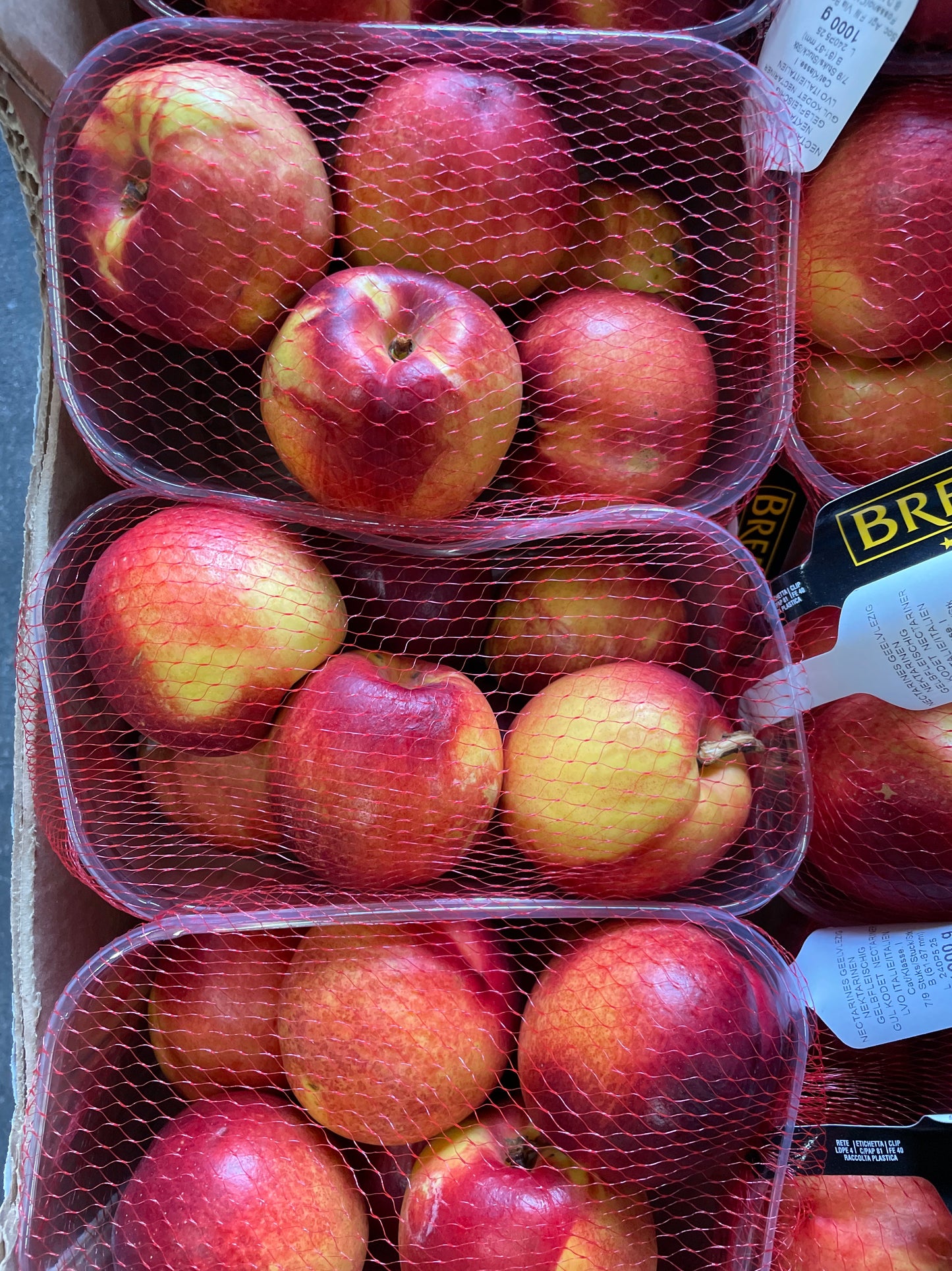 Nectarines, ca. 1kg per verpakking