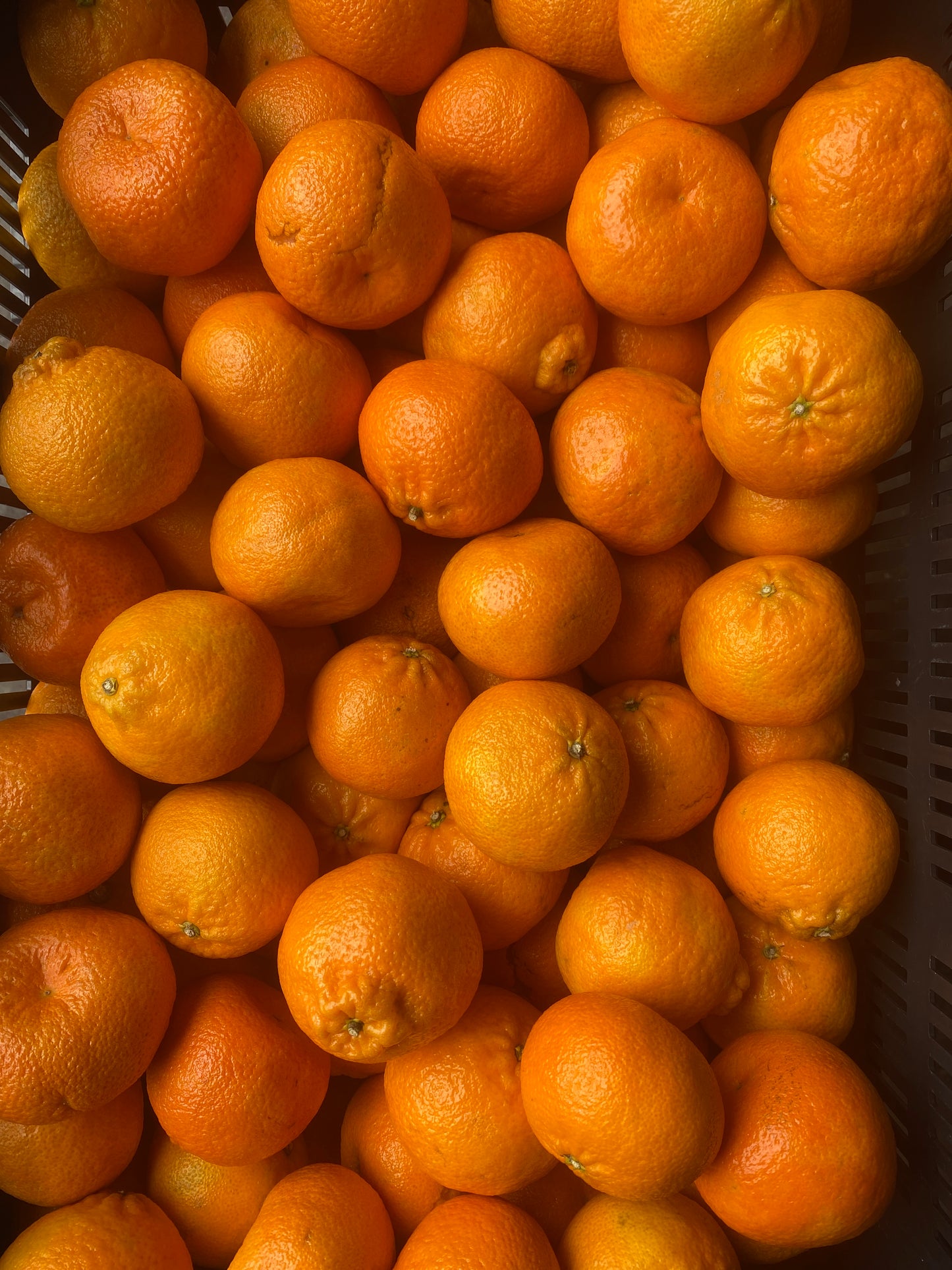Mandarijnen, 5 kg per doos