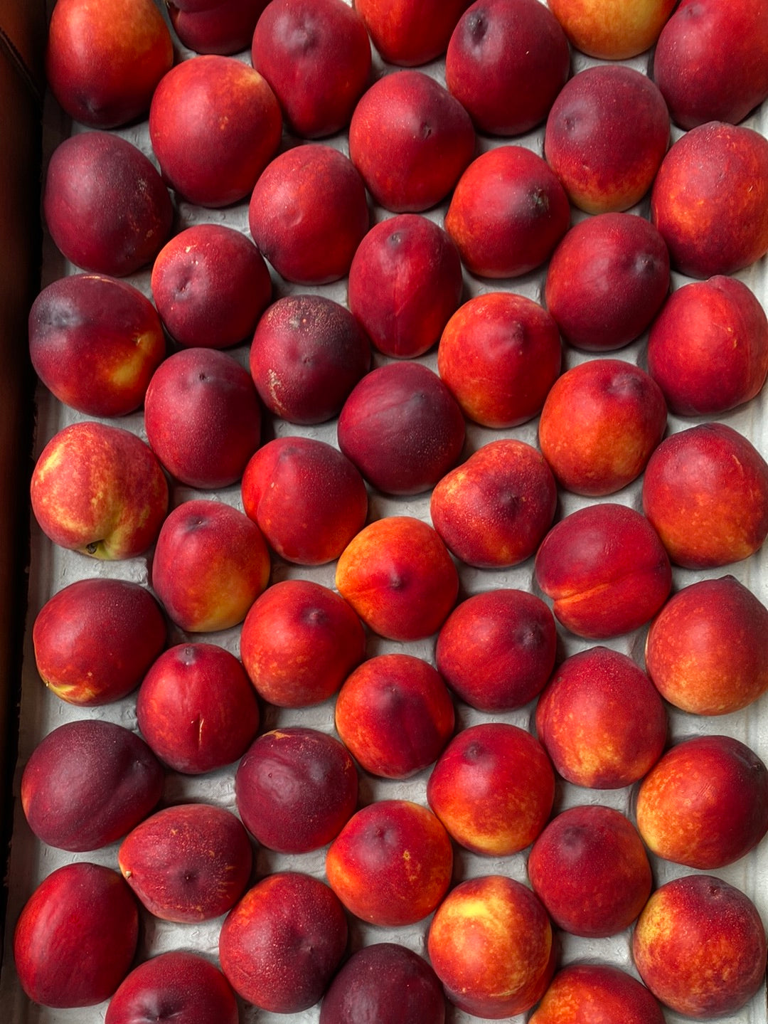 Nectarines, ca. 50 st, ca. 6 kg per doos