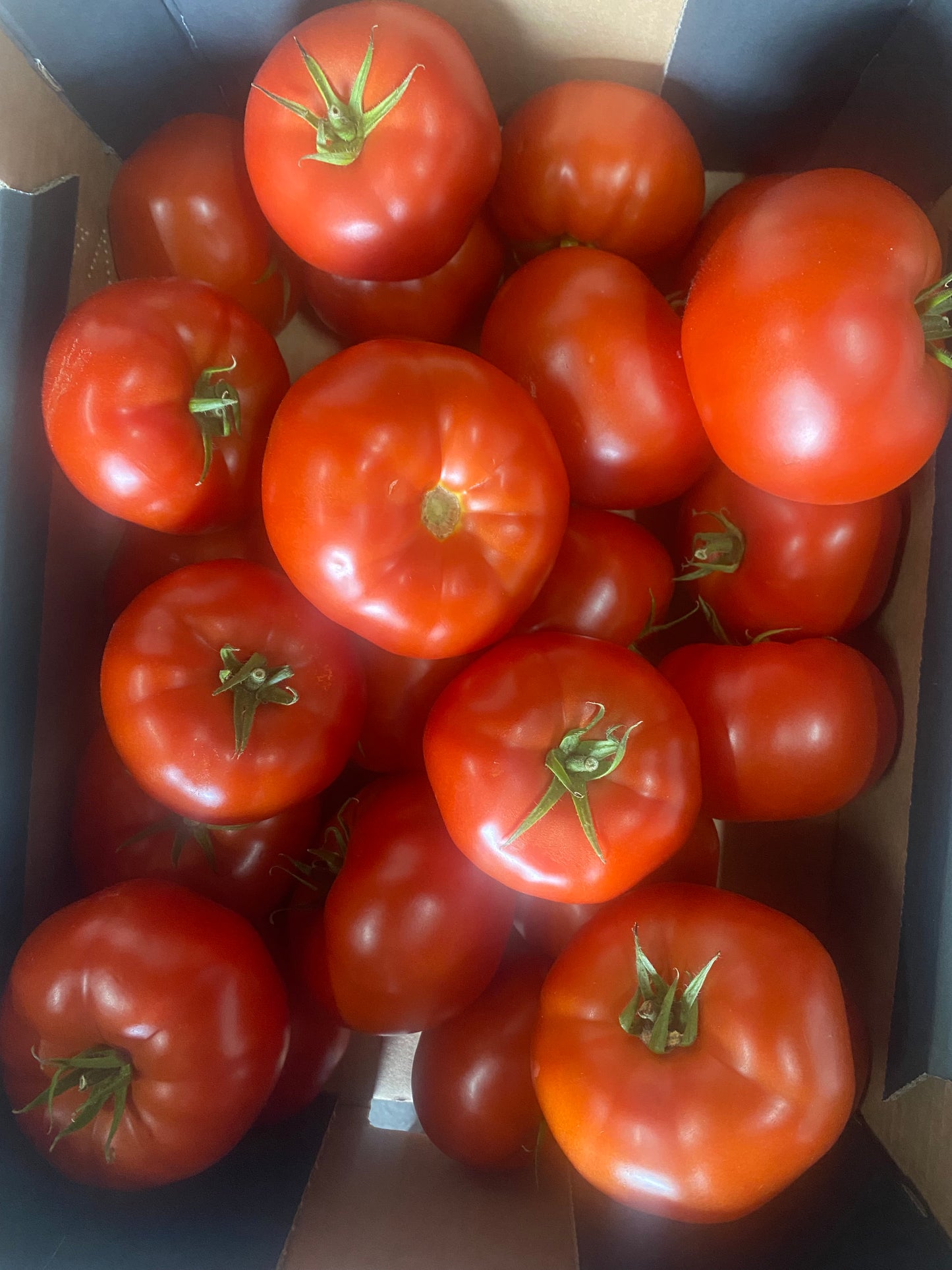 Tomaten, Vlees, ca. 5kg per doos