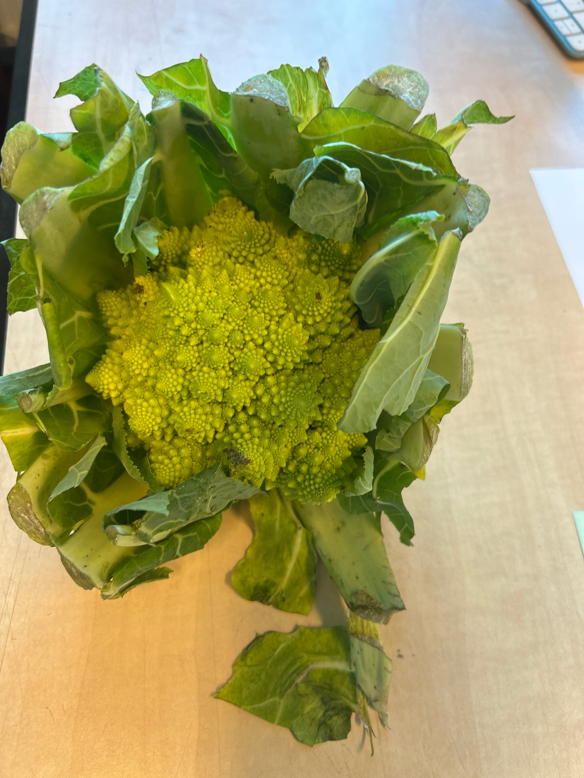 Romanesco, per 2st a ca. 750g (totaal ca. 1,5kg)
