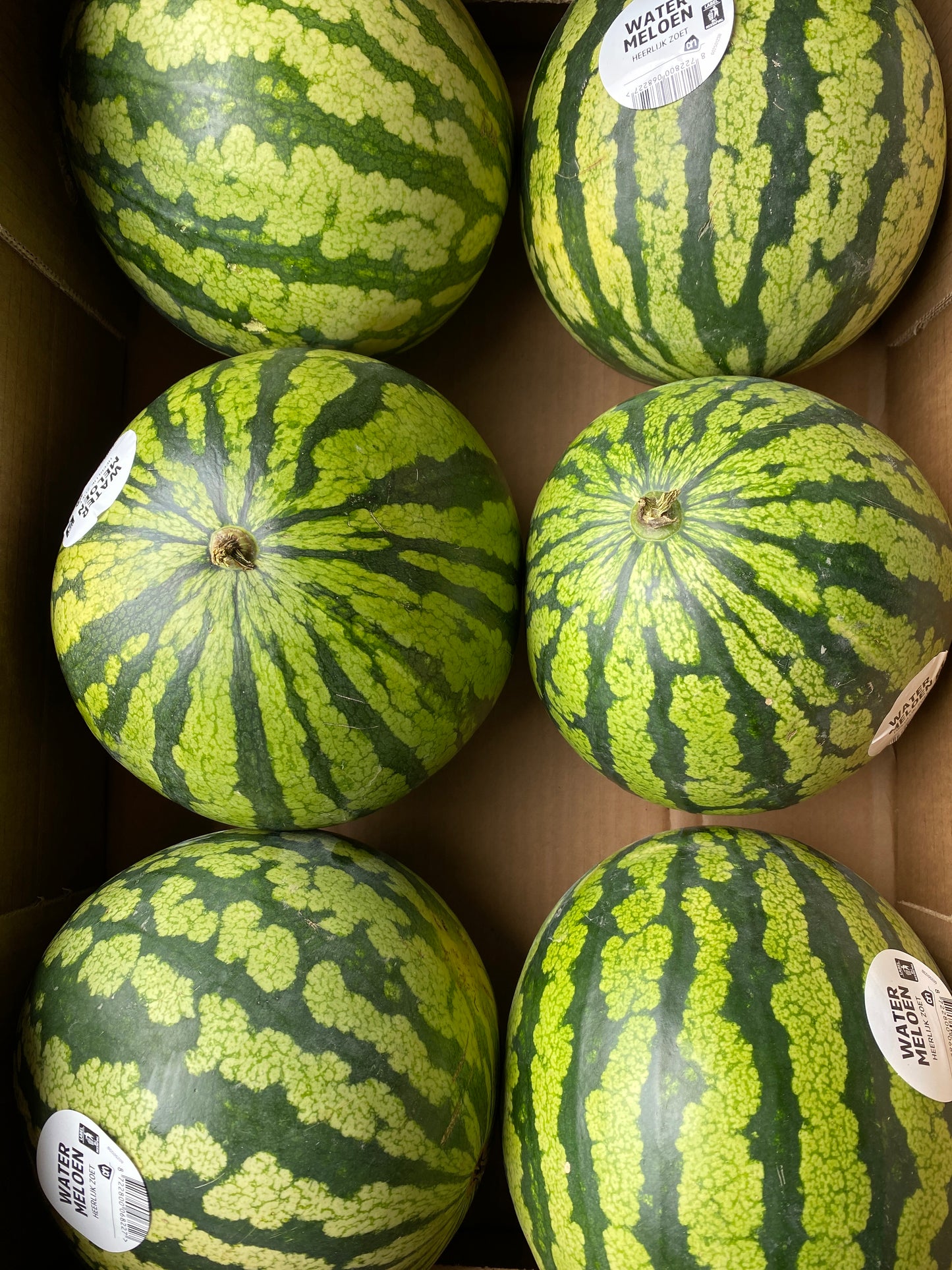 Meloenen, Watermeloenen, ca. 3kg per stuk