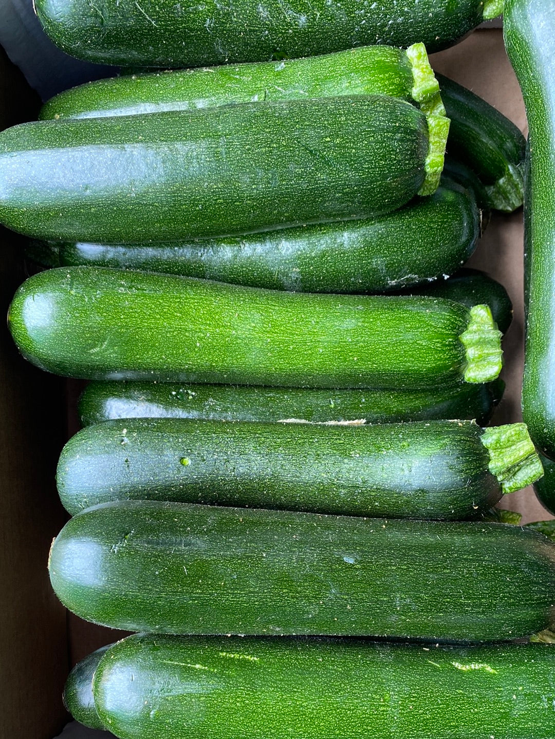Courgetten, per 3st a ca. 350g) (totaal ca. 1 kg)