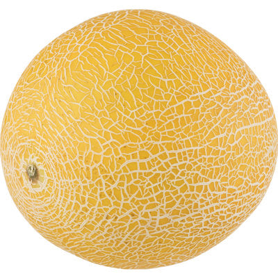 Meloenen, Galia, groenvlezig, ca. 1kg per stuk
