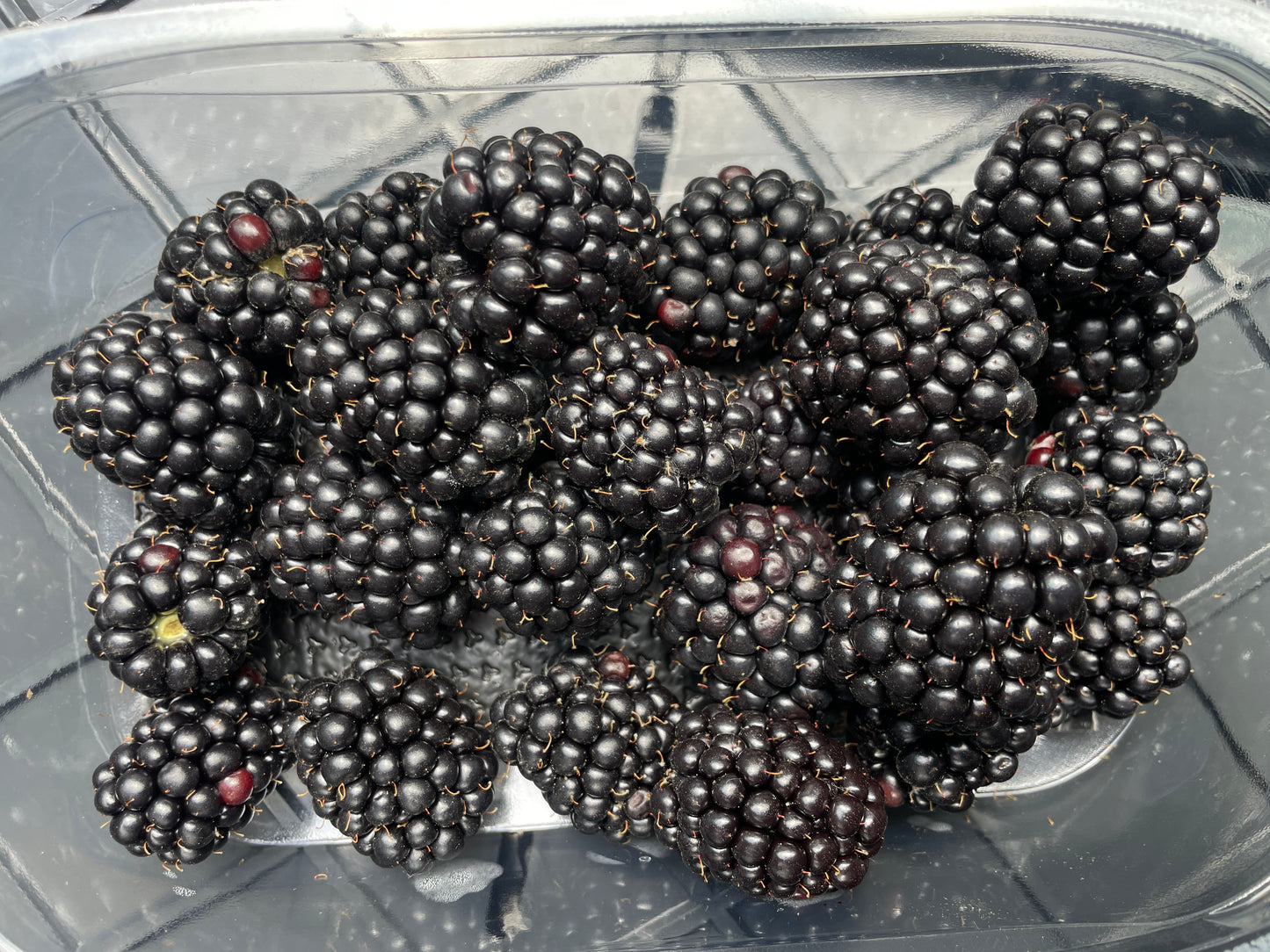 Bramen, 225g per bakje