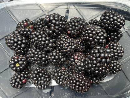 Bramen, 225g per bakje