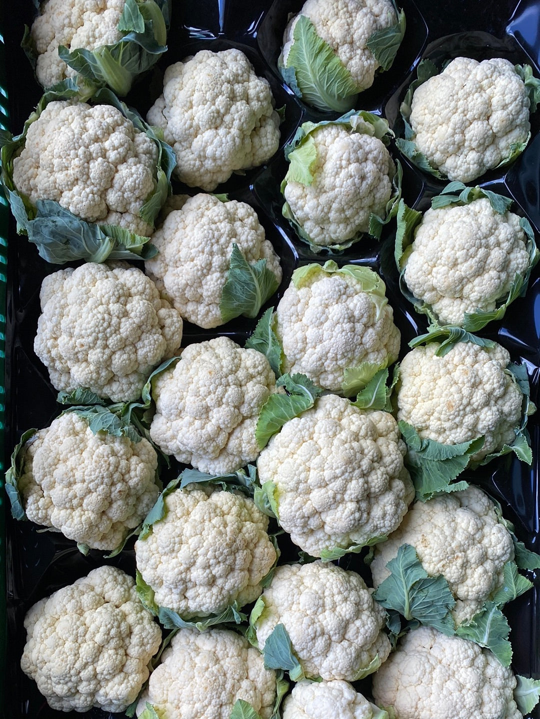 Bloemkool, Mini, zonder blad, per kilo