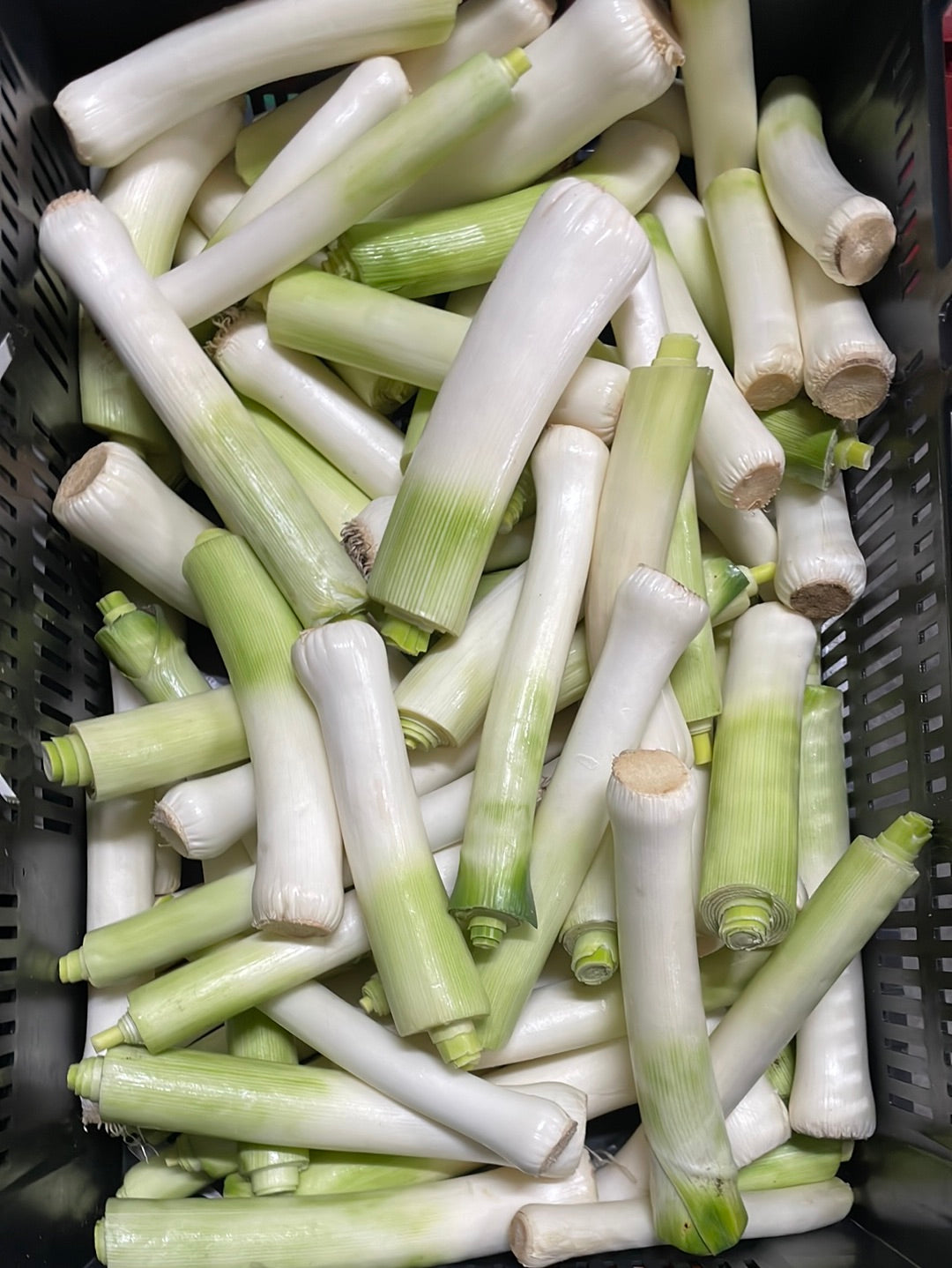 Prei, zonder blad, per kilo (ca. 8st)