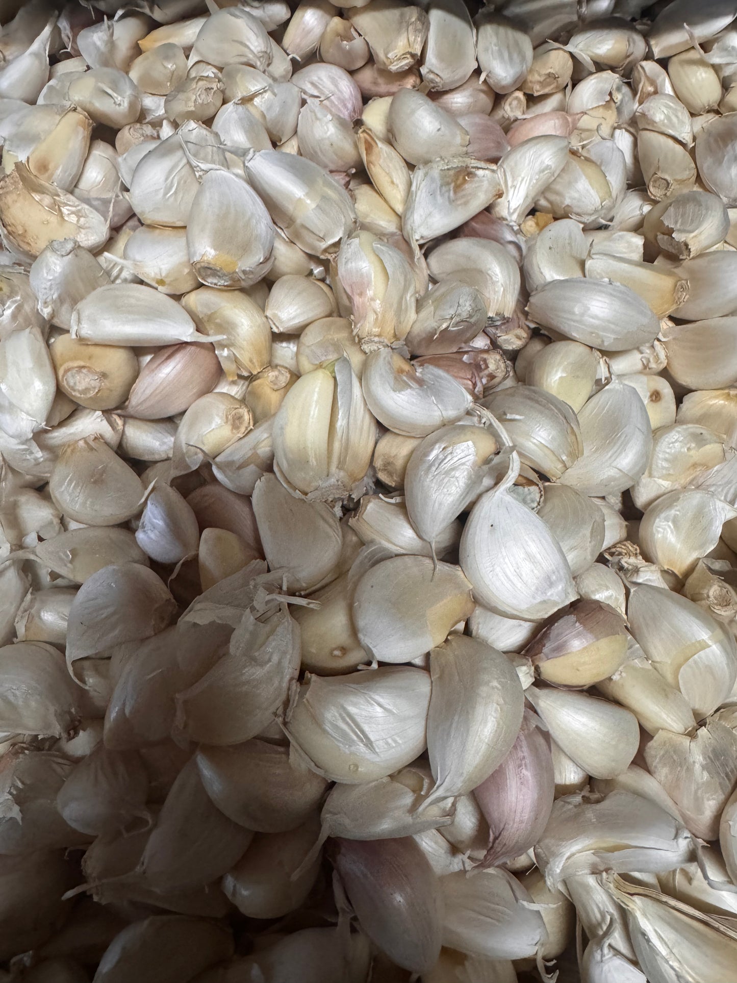 garlic 200gr