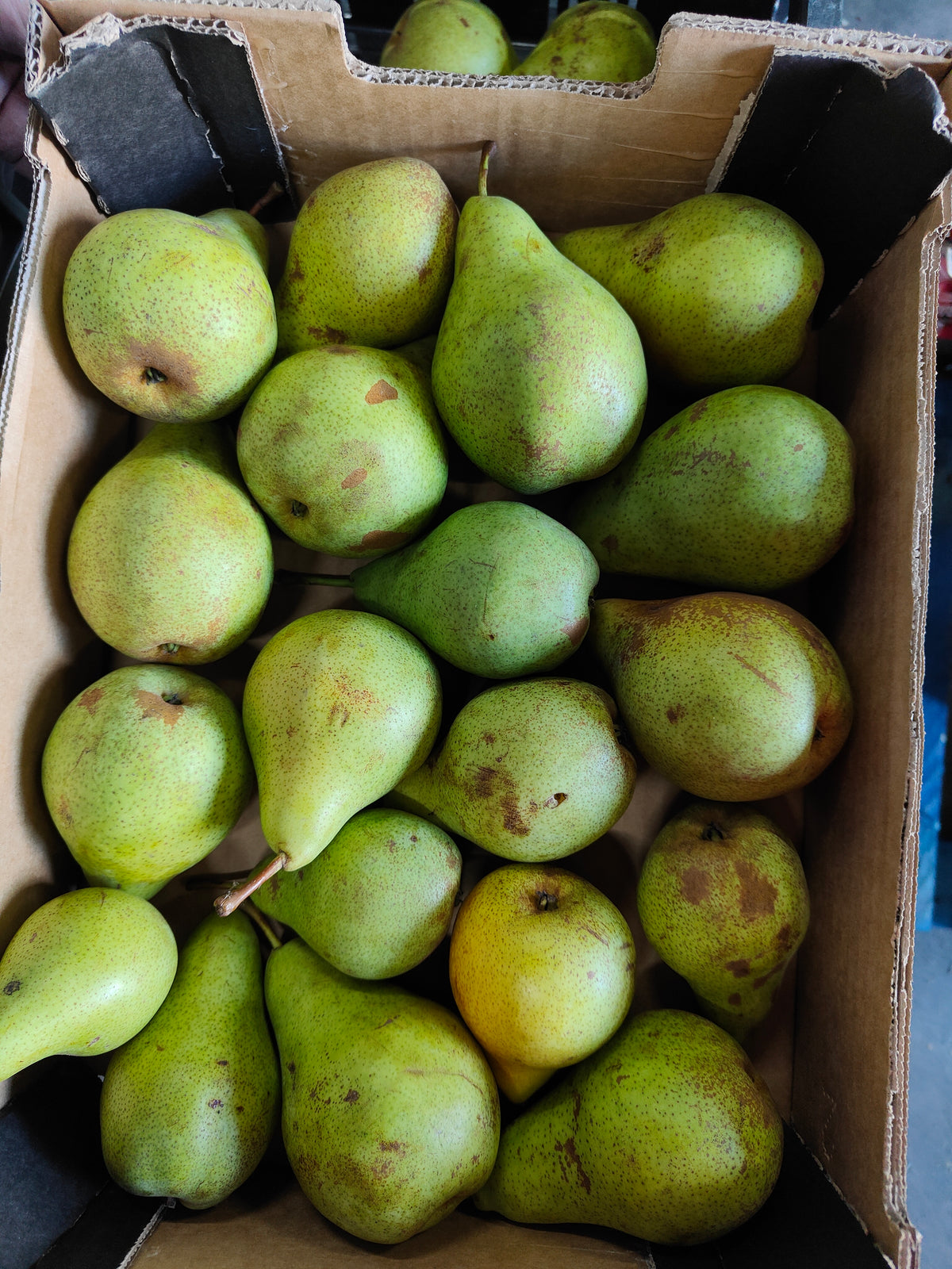 Peren, ca. 7 kg per doos